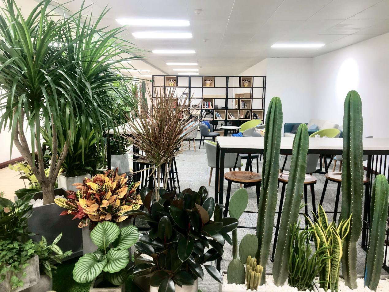 建設溫馨小家 維護職工大家————交綠分公司打造“園林景觀式”職工小家